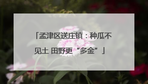 孟津区送庄镇：种瓜不见土 田野更“多金”