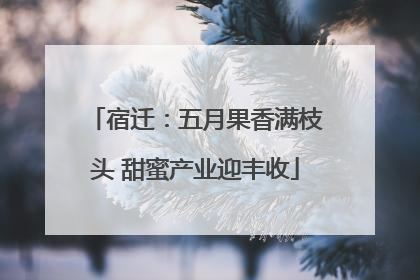 宿迁：五月果香满枝头 甜蜜产业迎丰收