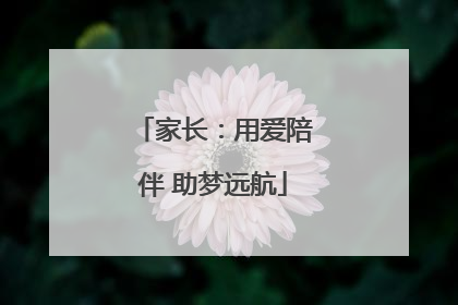 家长：用爱陪伴 助梦远航