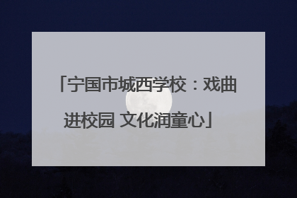 宁国市城西学校：戏曲进校园 文化润童心