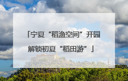 宁夏“稻渔空间”开园 解锁初夏“稻田游”