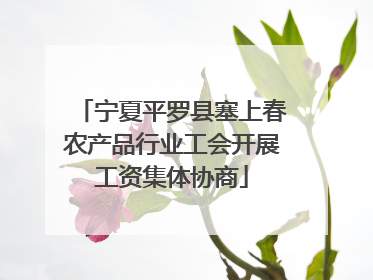 宁夏平罗县塞上春农产品行业工会开展工资集体协商