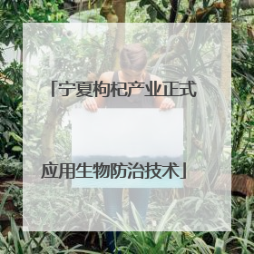 宁夏枸杞产业正式应用生物防治技术