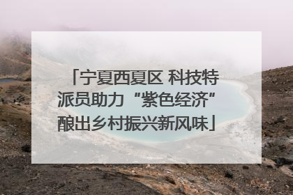 宁夏西夏区 科技特派员助力“紫色经济”酿出乡村振兴新风味