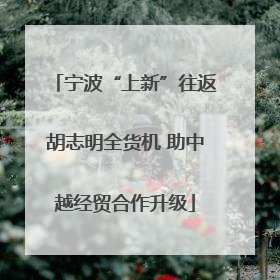 宁波“上新”往返胡志明全货机 助中越经贸合作升级
