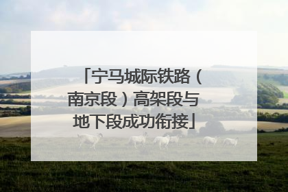 宁马城际铁路（南京段）高架段与地下段成功衔接