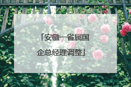 安徽一省属国企总经理调整