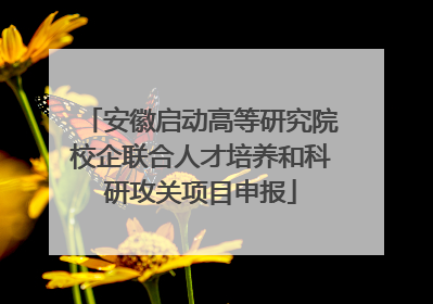 安徽启动高等研究院校企联合人才培养和科研攻关项目申报