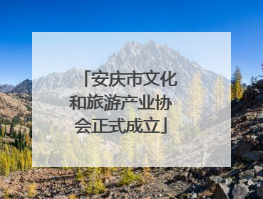 安庆市文化和旅游产业协会正式成立