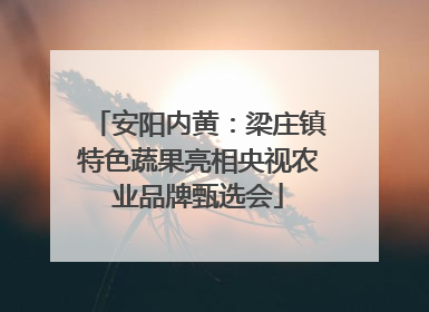 安阳内黄：梁庄镇特色蔬果亮相央视农业品牌甄选会