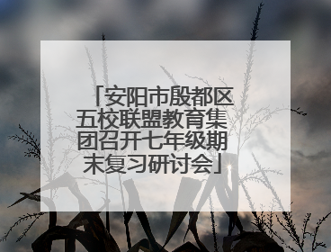 安阳市殷都区五校联盟教育集团召开七年级期末复习研讨会