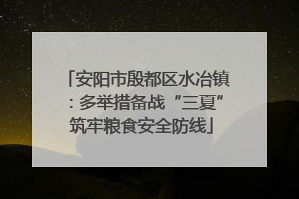 安阳市殷都区水冶镇：多举措备战“三夏” 筑牢粮食安全防线