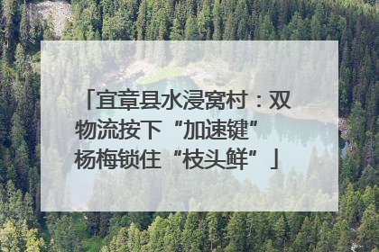 宜章县水浸窝村：双物流按下“加速键” 杨梅锁住“枝头鲜”