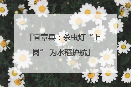 宜章县：杀虫灯“上岗” 为水稻护航