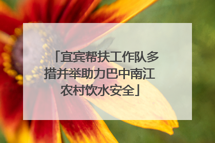 宜宾帮扶工作队多措并举助力巴中南江农村饮水安全