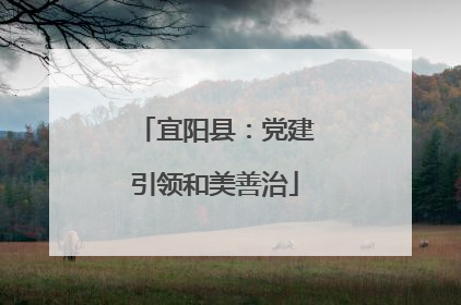 宜阳县：党建引领和美善治