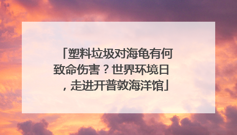 塑料垃圾对海龟有何致命伤害？世界环境日，走进开普敦海洋馆