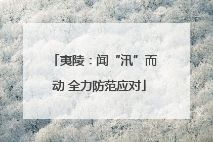 夷陵：闻“汛”而动 全力防范应对