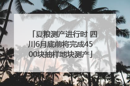 夏粮测产进行时 四川6月底前将完成4500块抽样地块测产