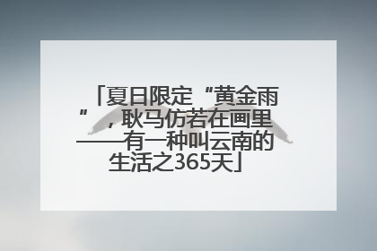 夏日限定“黄金雨”，耿马仿若在画里——有一种叫云南的生活之365天