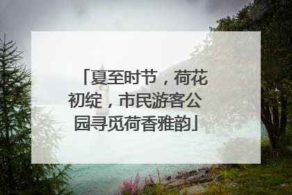 夏至时节，荷花初绽，市民游客公园寻觅荷香雅韵