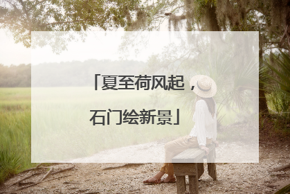 夏至荷风起，石门绘新景