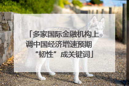 多家国际金融机构上调中国经济增速预期 “韧性”成关键词