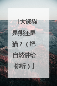 大熊猫是熊还是猫？（把自然讲给你听）