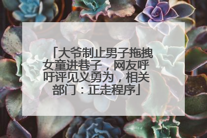 大爷制止男子拖拽女童进巷子，网友呼吁评见义勇为，相关部门：正走程序