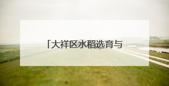 大祥区水稻选育与应用项目实现新突破，农业农村局全程护航成果斐然