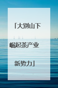 大别山下崛起茶产业新势力