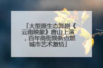 大型原生态舞剧《云南映象》唐山上演，百年商街焕新点燃城市艺术激情