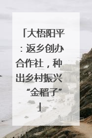大悟阳平：返乡创办合作社，种出乡村振兴“金稻子”