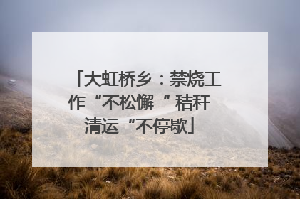 大虹桥乡：禁烧工作“不松懈“ 秸秆清运“不停歇