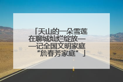 天山的一朵雪莲在聊城灿烂绽放——记全国文明家庭“詹春芳家庭”