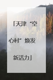 天津“空心村”焕发新活力