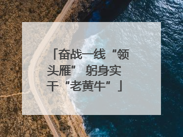 奋战一线“领头雁” 躬身实干“老黄牛”