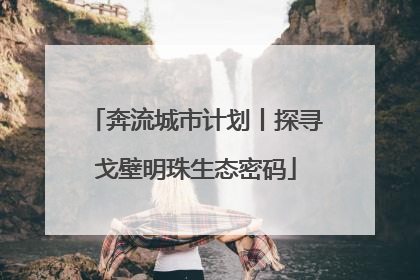 奔流城市计划丨探寻戈壁明珠生态密码