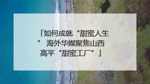如何成就“甜蜜人生” 海外华媒聚焦山西高平“甜蜜工厂”