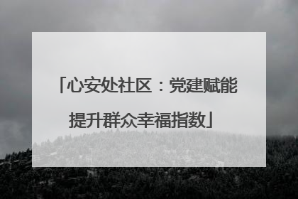心安处社区：党建赋能 提升群众幸福指数