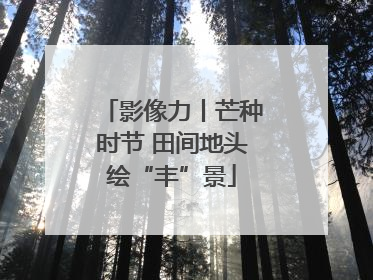 影像力丨芒种时节 田间地头绘“丰”景