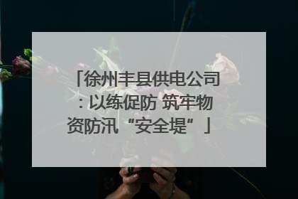 徐州丰县供电公司：以练促防 筑牢物资防汛“安全堤”