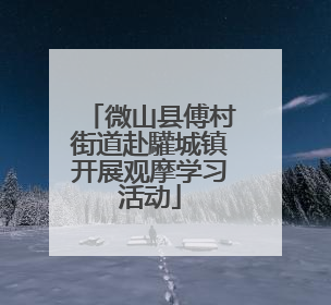 微山县傅村街道赴驩城镇开展观摩学习活动