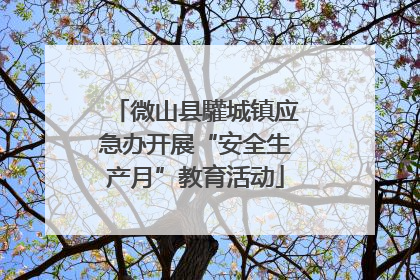微山县驩城镇应急办开展“安全生产月”教育活动