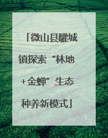 微山县驩城镇探索“林地+金蝉”生态种养新模式