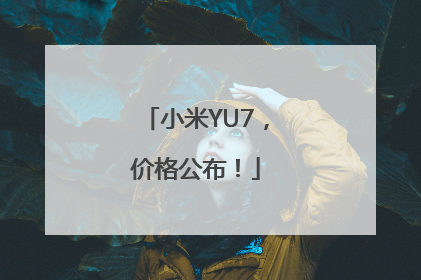 小米YU7，价格公布！