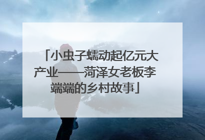小虫子蠕动起亿元大产业——菏泽女老板李端端的乡村故事