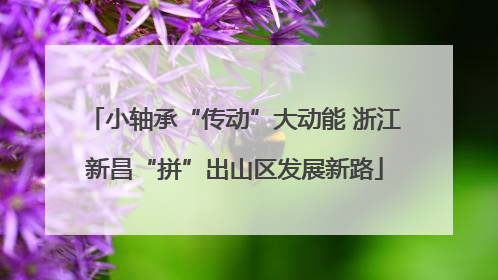小轴承“传动”大动能 浙江新昌“拼”出山区发展新路