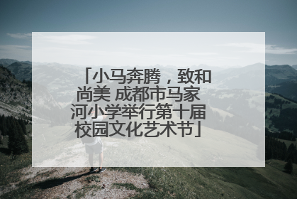 小马奔腾，致和尚美 成都市马家河小学举行第十届校园文化艺术节