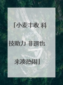 小麦丰收 科技助力 非遗也来凑热闹